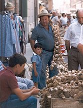 Feria del Carmen